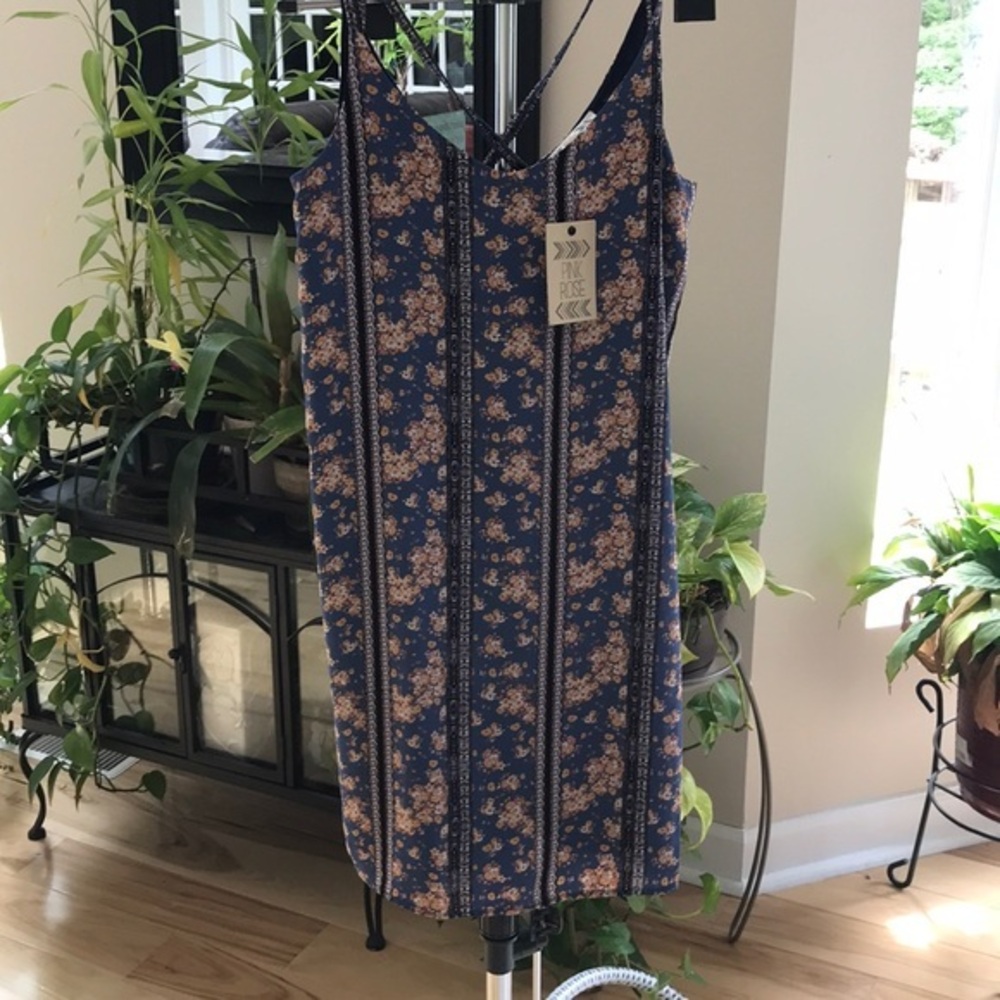 NWT Pink Rose slip dress